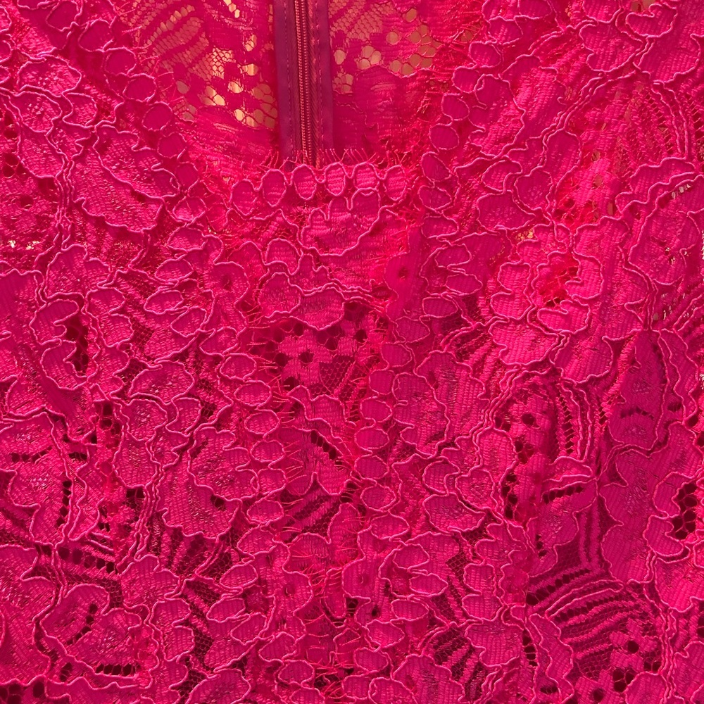 NWT Hot Pink Fit & Flare Lace Shoshanna Dress sz 0 - Picture 5 of 7